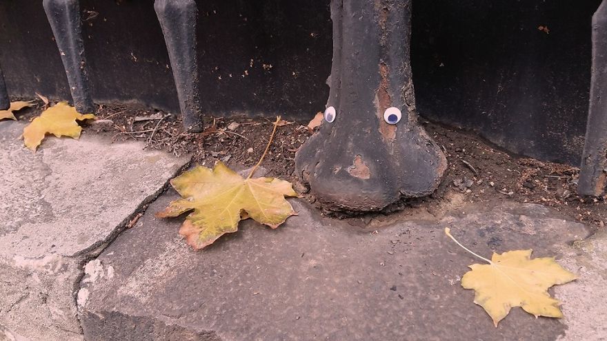I Bring Bulgarian Streets To Life By Putting Googly Eyes On Random Objects (New Pics)