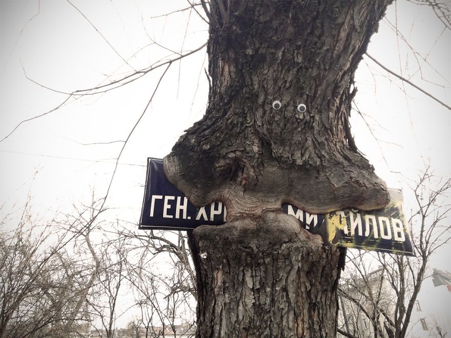 I Bring Bulgarian Streets To Life By Putting Googly Eyes On Random Objects (New Pics)