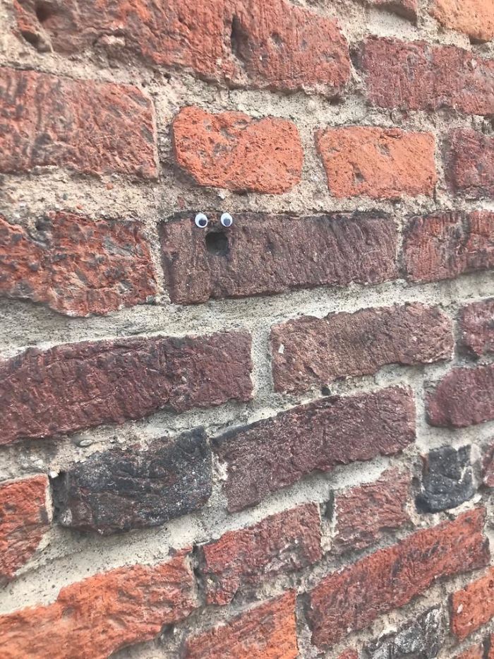 We Googly-Eyed Milan