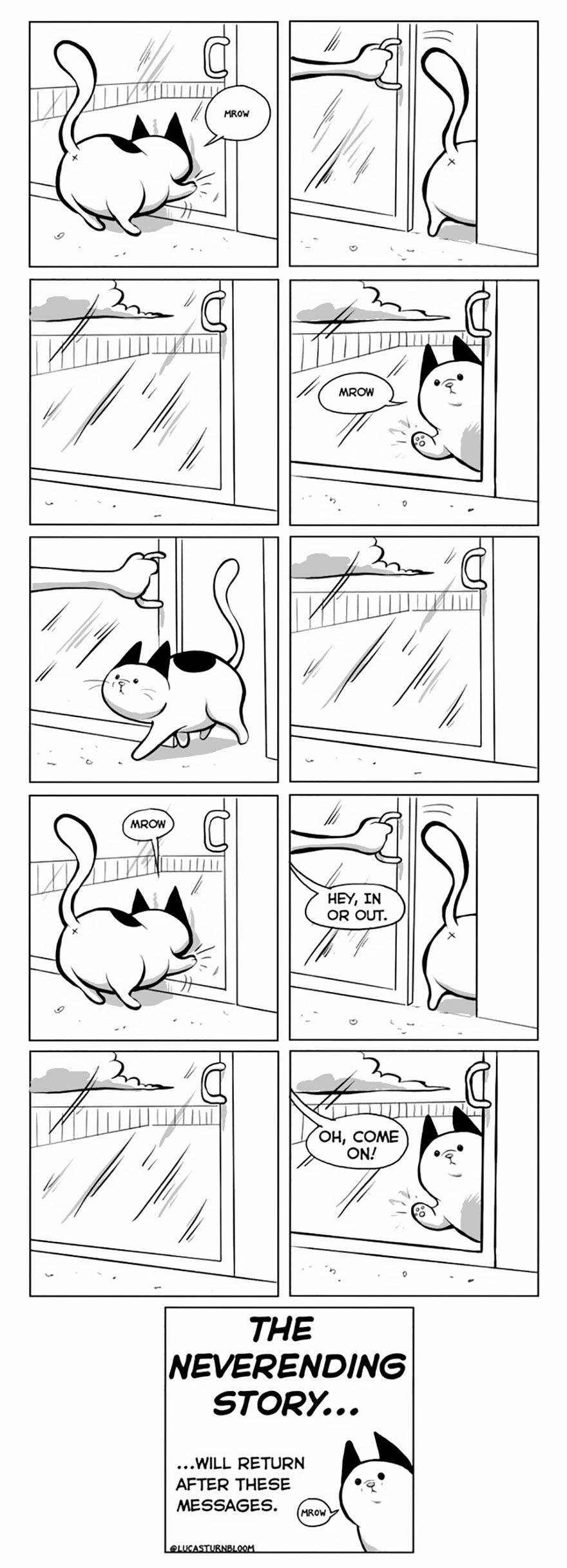 From Rescue Cat To 'How To Cat'