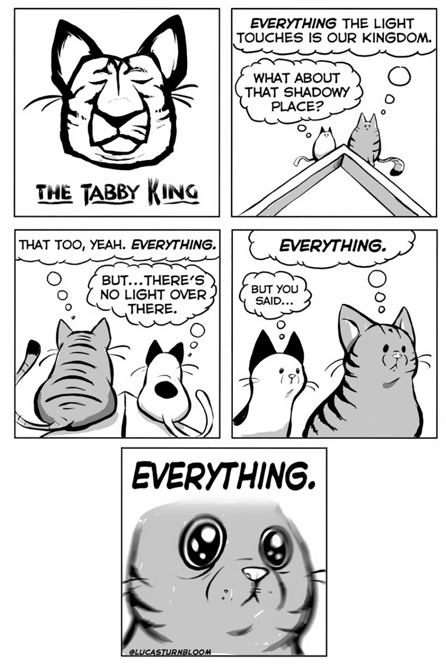 From Rescue Cat To 'How To Cat'