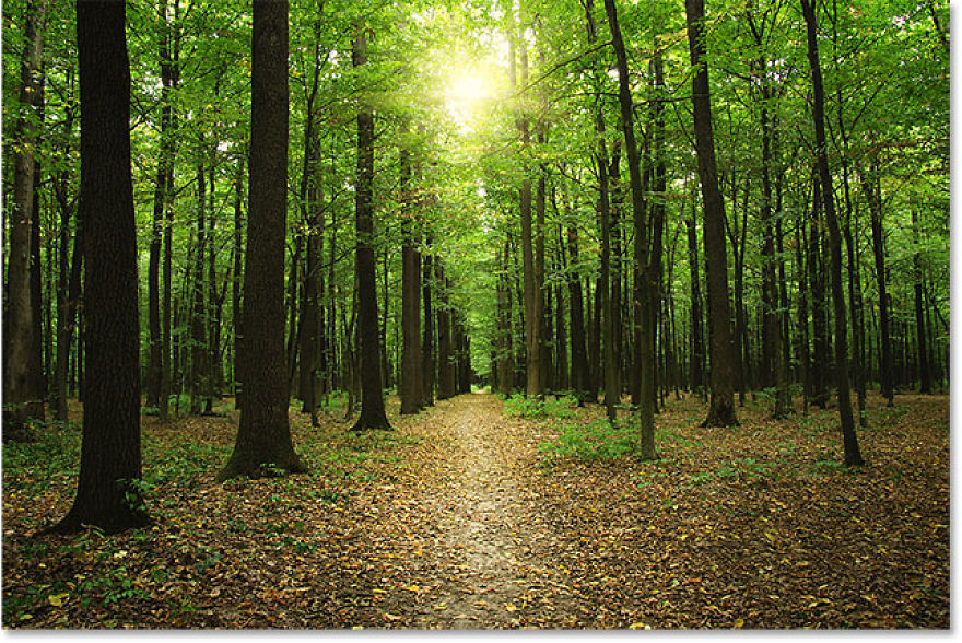 Here Are Some Calming Things To Look At. I Thought You All Deserved It.