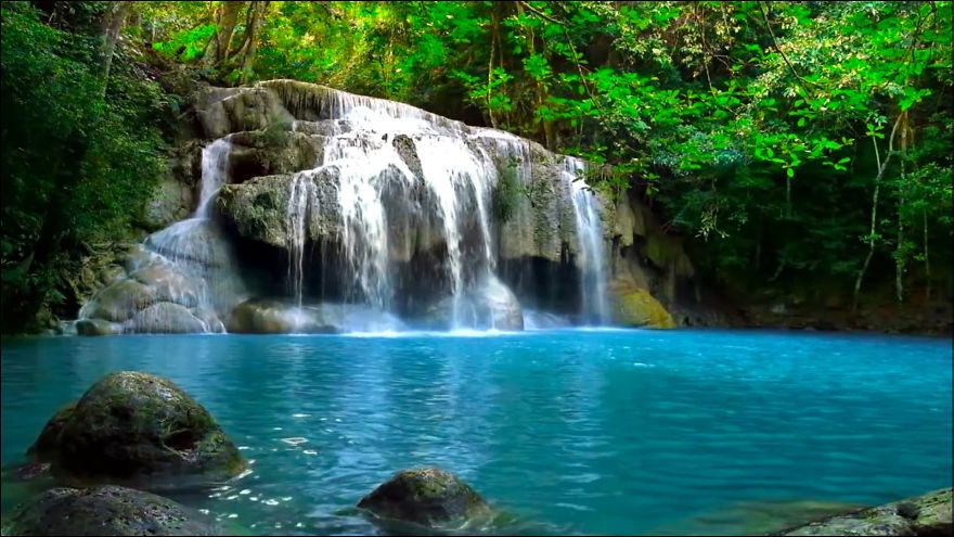 Here Are Some Calming Things To Look At. I Thought You All Deserved It.