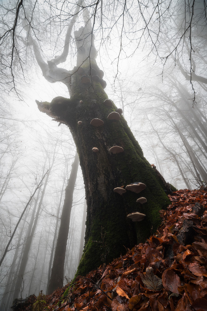 I Am 17 Years Old Kid From Czech Republic Who Loves Landscape Photography And Travelling