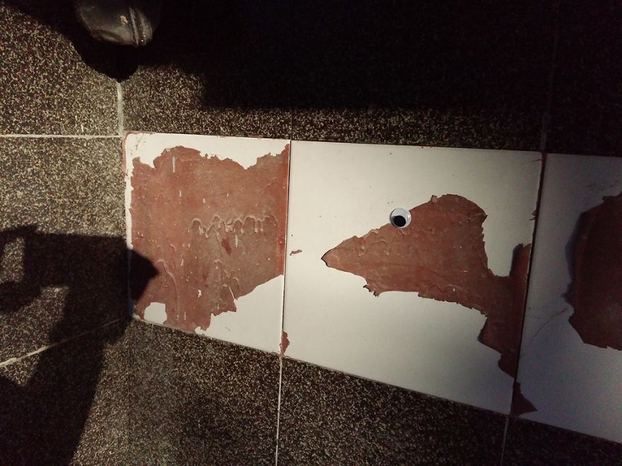 I Bring Bulgarian Streets To Life By Putting Googly Eyes On Random Objects (New Pics)