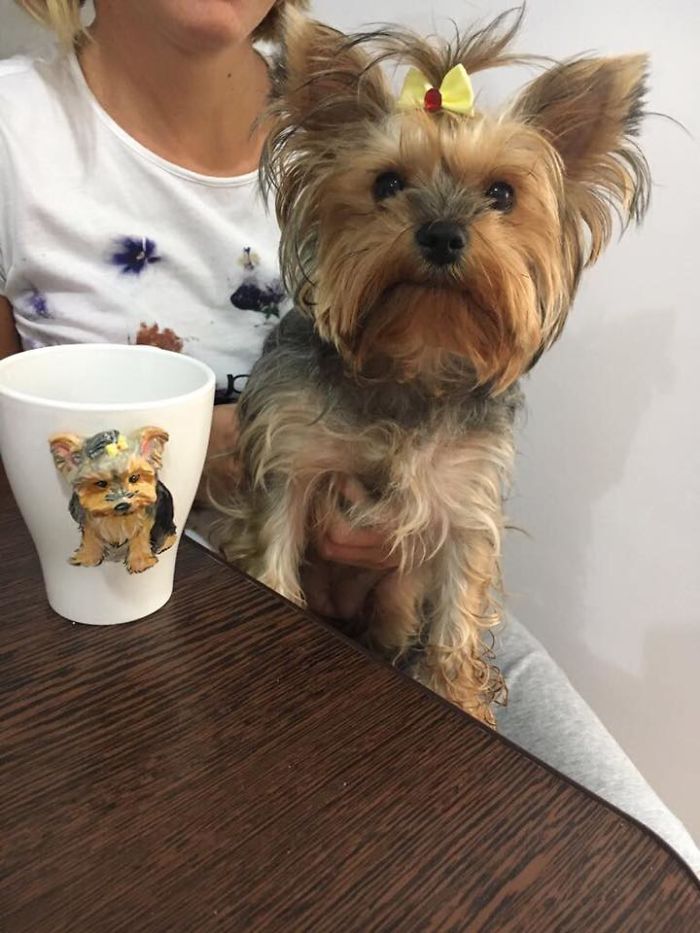 I Create Custom 3d Pets On Mugs | Handmade