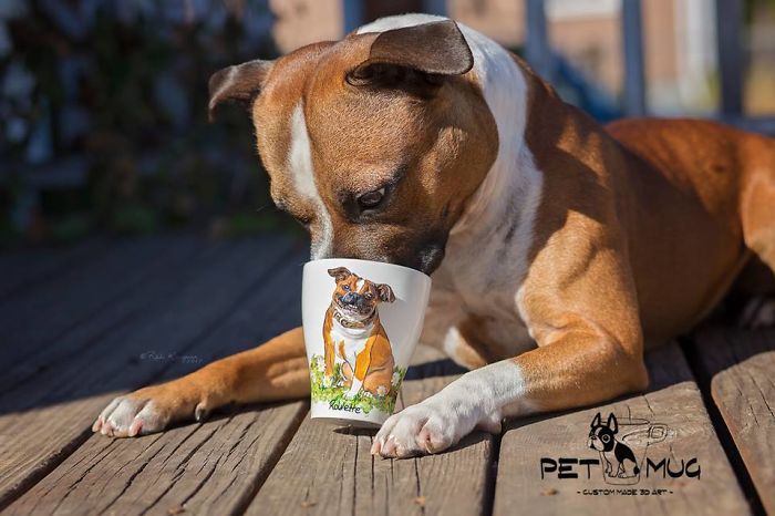 I Create Custom 3d Pets On Mugs | Handmade