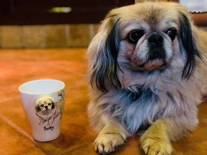 I Create Custom 3d Pets On Mugs | Handmade