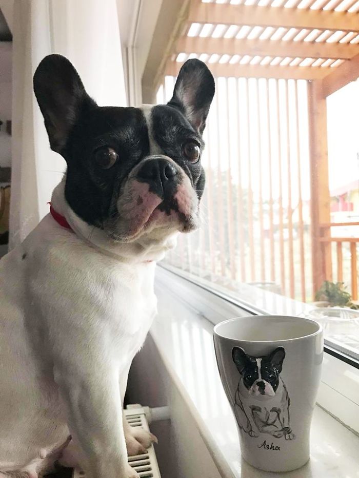 I Create Custom 3d Pets On Mugs | Handmade