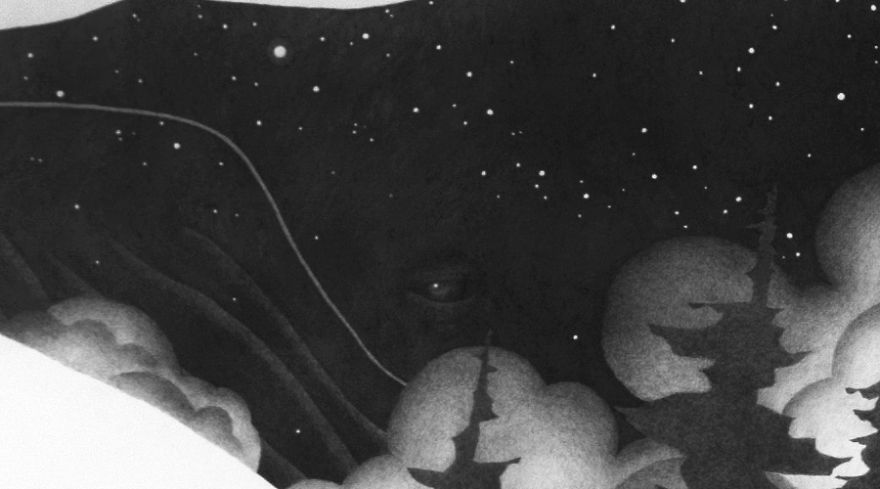 I Create Large-Scale Whale Drawings Using Hundreds Of Pencils As An Ode To My West Coast Home