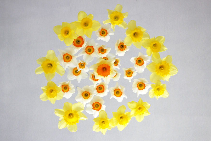 I Created Ephemeral Spring Floral Installations In A French Village I Created Ephemeral Spring Floral Installations In A French Village