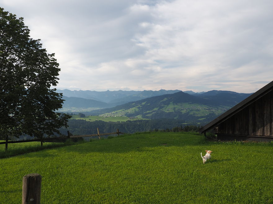 I Moved To Austria To Live All My Sound Of Music Dreams I Moved To Austria To Live All My Sound Of Music Dreams