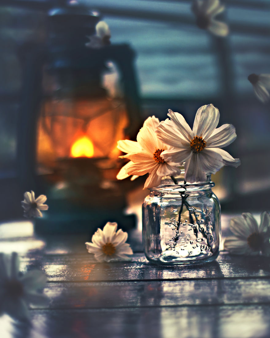 I Try To Add Daily Objects In My Still Life Photography