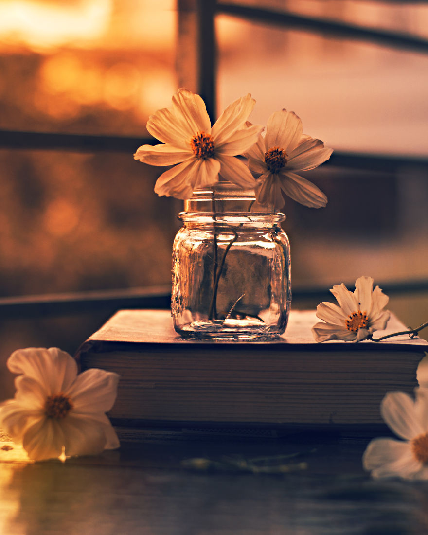 I Try To Add Daily Objects In My Still Life Photography