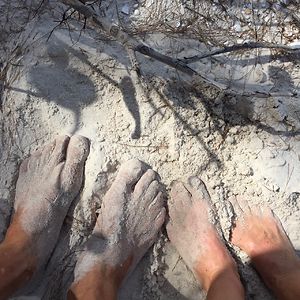 stevenmayaokeechobeefarmswholelifefoods avatar