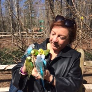 sandy_light_9 avatar