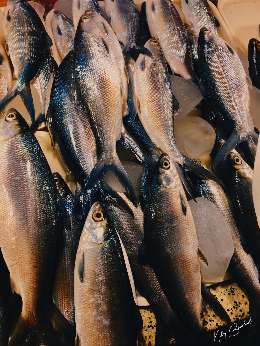 I Took Early Morning Pictures Of Intimate Market Scene In Philippines Using My Iphone I Took Early Morning Pictures Of Intimate Market Scene In Philippines Using My Iphone