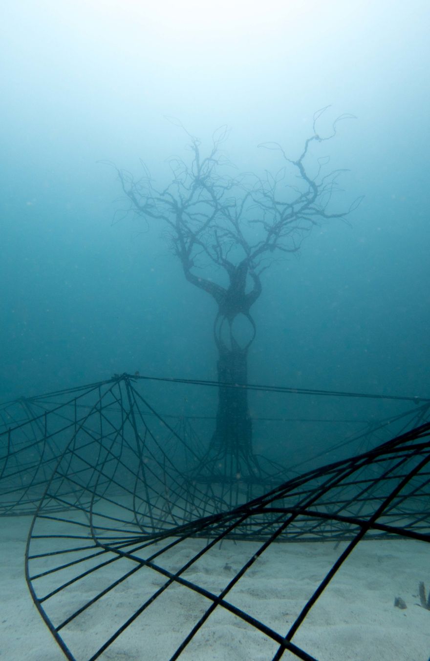 The Tree Of Life: I Created An Underwater Electrified Artificial Reef