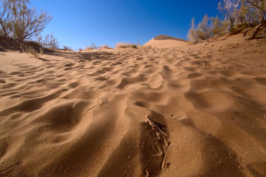 More Than Three-Quarters Of Kazakhstan Is Either Semi-Dessert Or Dessert, Where No People Live