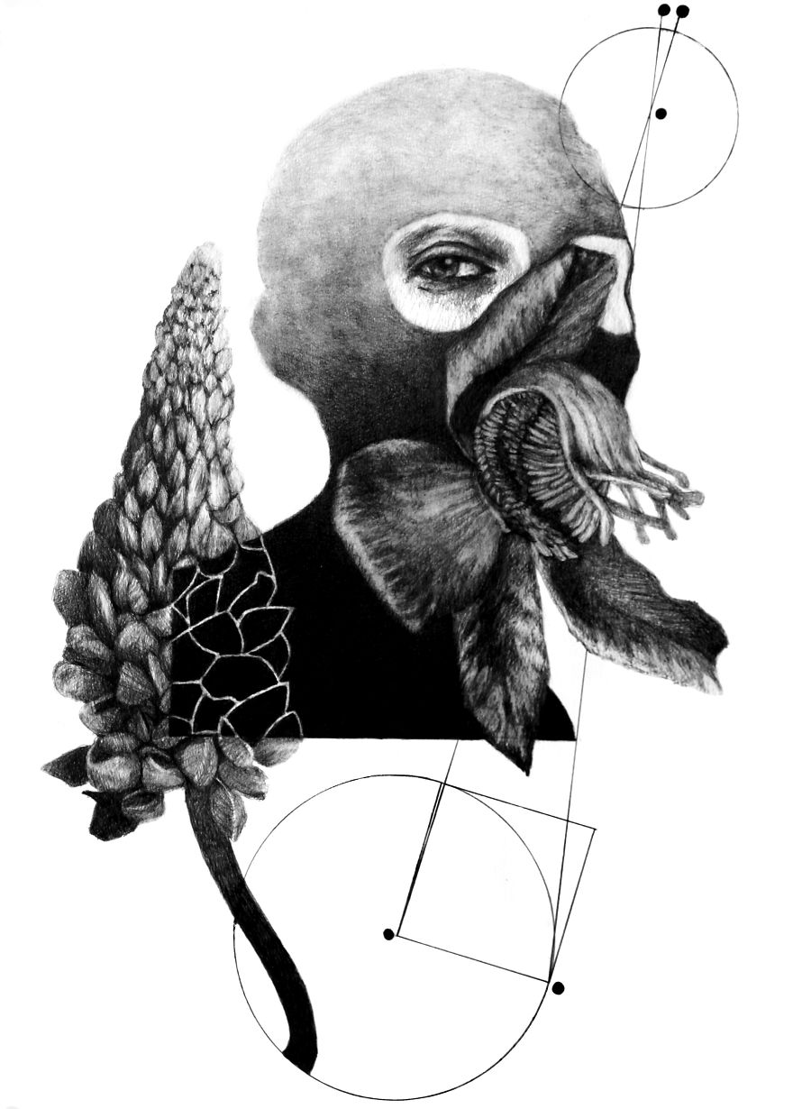 14 Collage- Pencil -Drawings Inspired By Greek Mythology