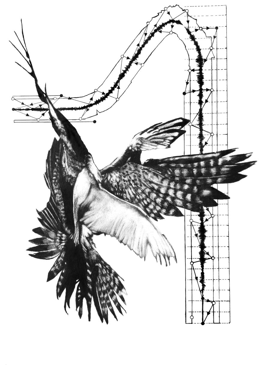 14 Collage- Pencil -Drawings Inspired By Greek Mythology