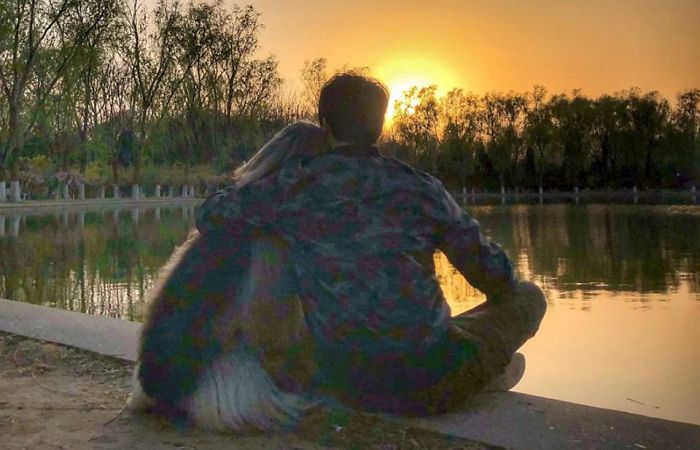 Man Spends Thousands Of Dollars Trying To Keep His Dog's Hair Stylish Every Single Day Man Spends Thousands Of Dollars Trying To Keep His Dog's Hair Stylish Every Single Day
