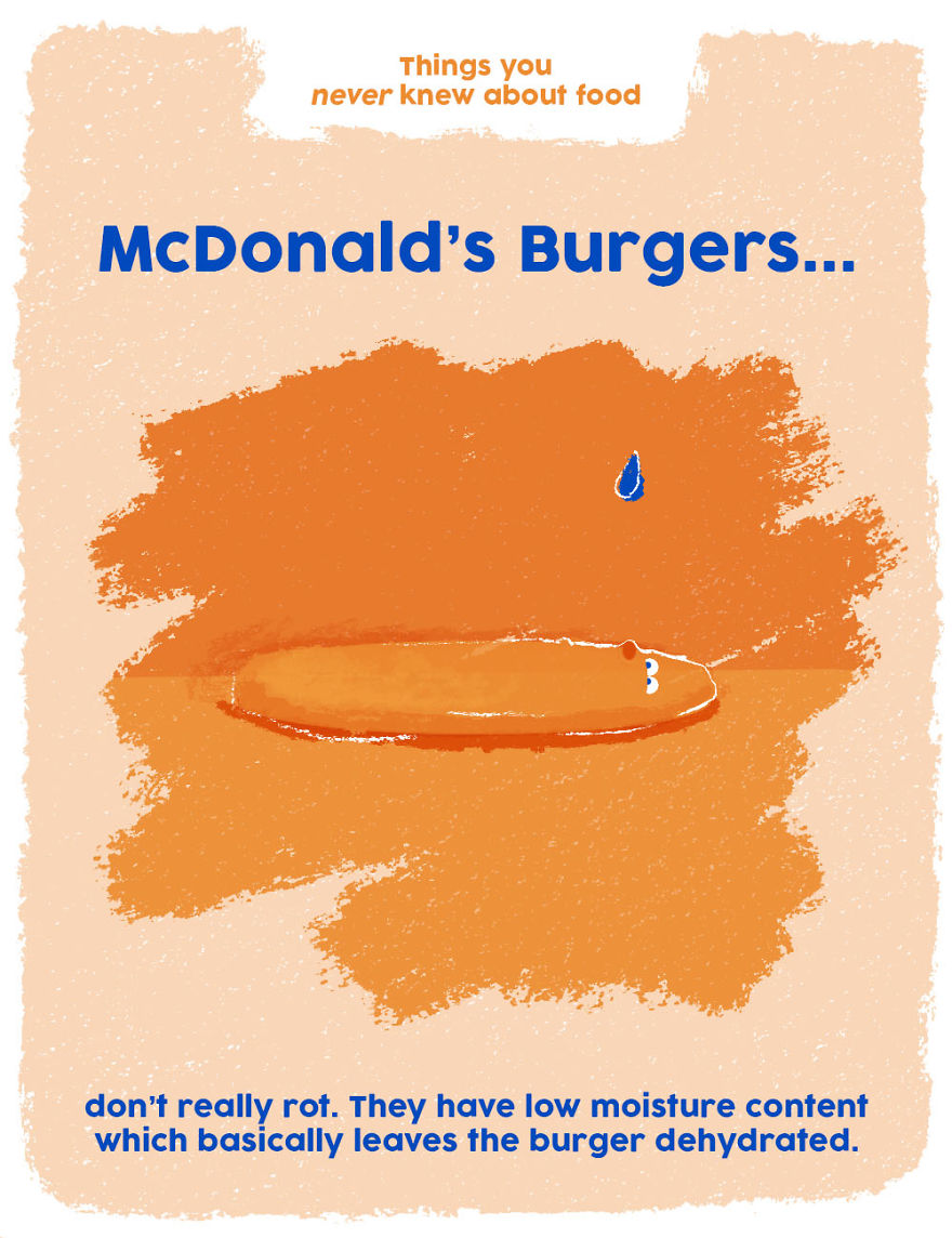 Illustration showing a dehydrated McDonald’s burger with a drop of water, highlighting weird food facts about moisture content.