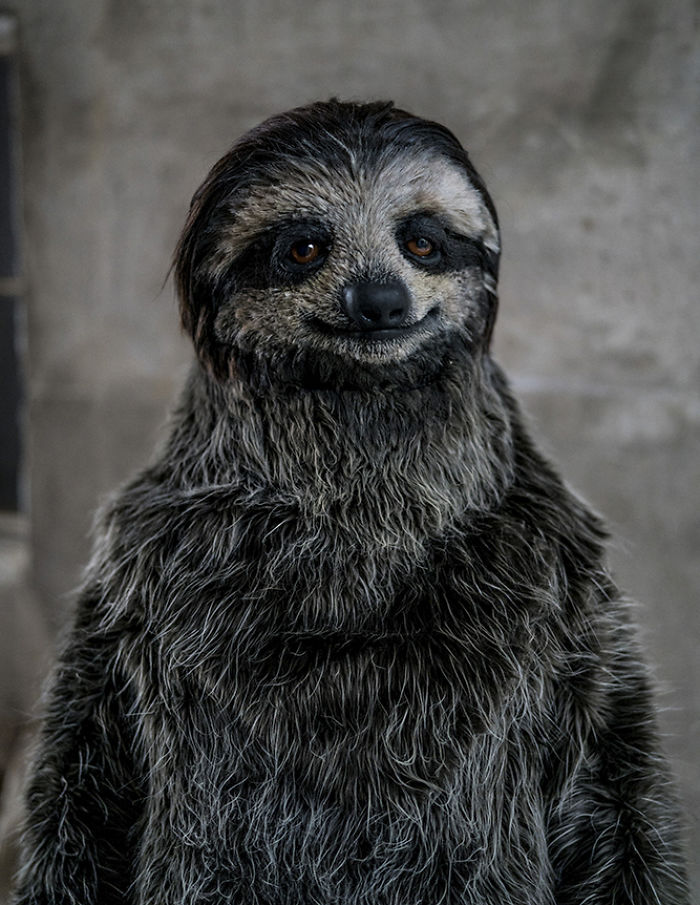 I Created A Realistic Sloth Costume