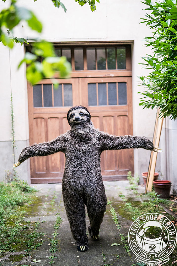 I Created A Realistic Sloth Costume I Created A Realistic Sloth Costume