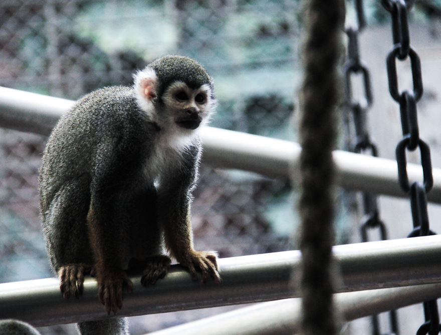 The Photography Session That Would Show You Why You Shouldn't Go To The Zoo Anymore
