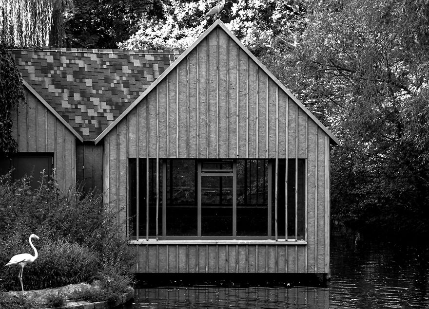 The Photography Session That Would Show You Why You Shouldn't Go To The Zoo Anymore The Photography Session That Would Show You Why You Shouldn't Go To The Zoo Anymore