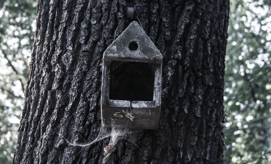 The Photography Session That Would Show You Why You Shouldn't Go To The Zoo Anymore The Photography Session That Would Show You Why You Shouldn't Go To The Zoo Anymore