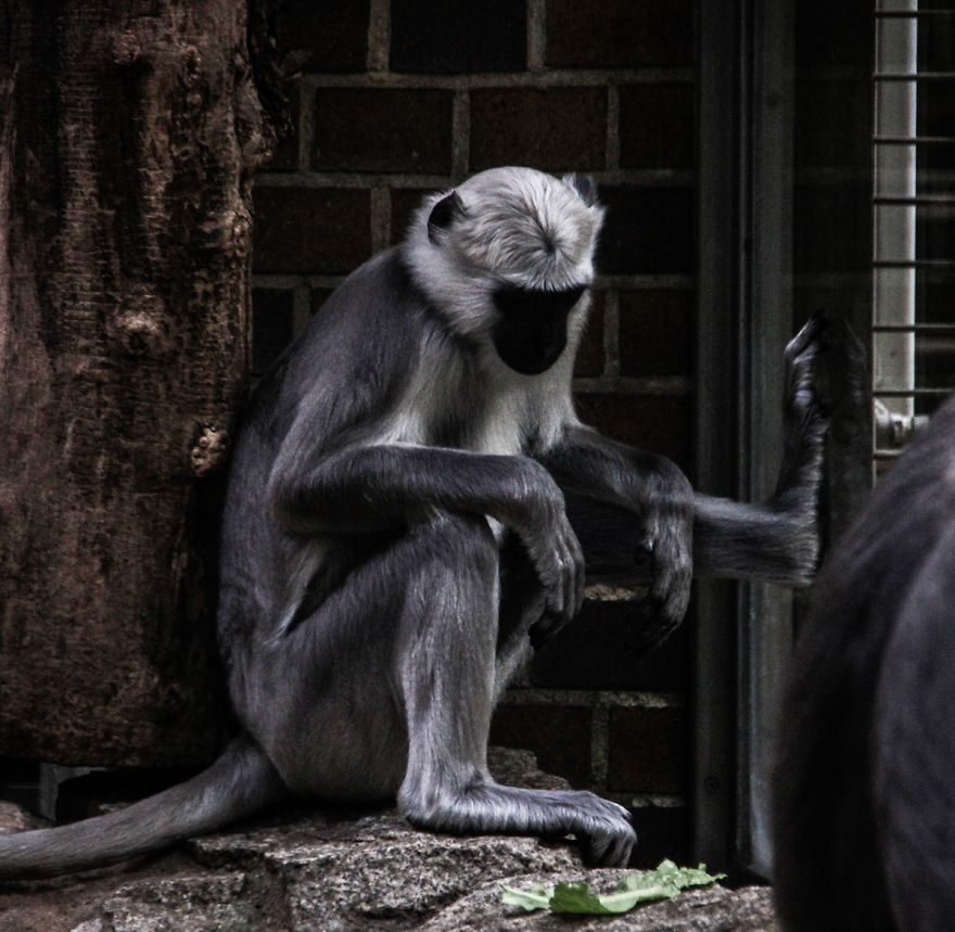 The Photography Session That Would Show You Why You Shouldn't Go To The Zoo Anymore The Photography Session That Would Show You Why You Shouldn't Go To The Zoo Anymore