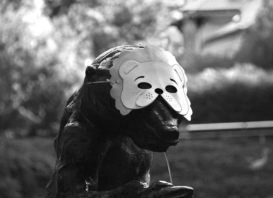 The Photography Session That Would Show You Why You Shouldn't Go To The Zoo Anymore The Photography Session That Would Show You Why You Shouldn't Go To The Zoo Anymore