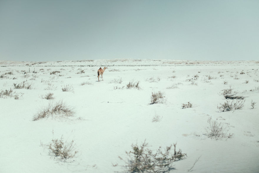 My Photos Will Make You Want To Pack Immediately And Travel To Oman