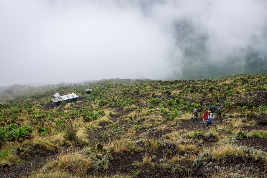 I Spent The Night At The Top Of An Active Volcano In DR Congo, Capturing The Boiling Lava Lake I Spent The Night At The Top Of An Active Volcano In DR Congo, Capturing The Boiling Lava Lake
