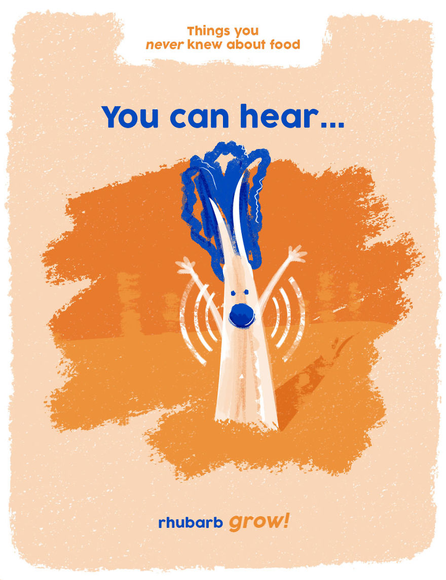 Illustration showing a personified rhubarb with sound waves, highlighting weird food facts about rhubarb you didn’t know.