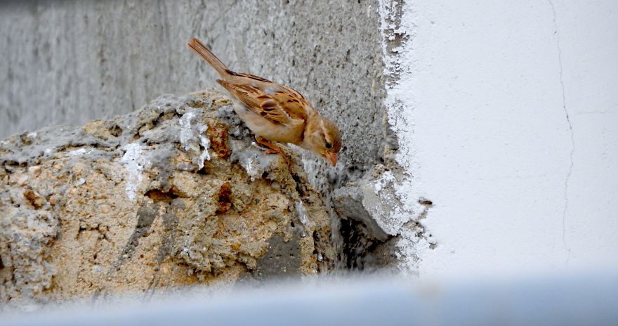 Started Shooting On My Rooftop Near Sunset For 4 Months And Got Amazing Silhouettes
