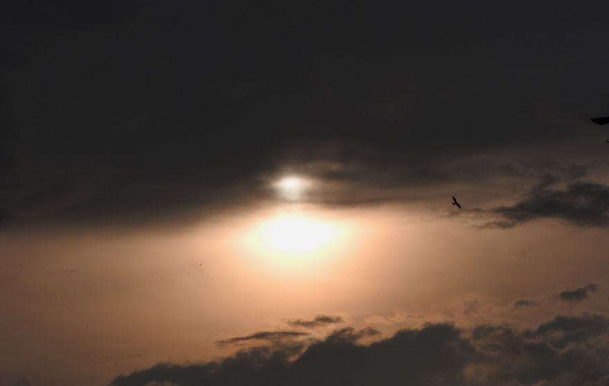 Started Shooting On My Rooftop Near Sunset For 4 Months And Got Amazing Silhouettes