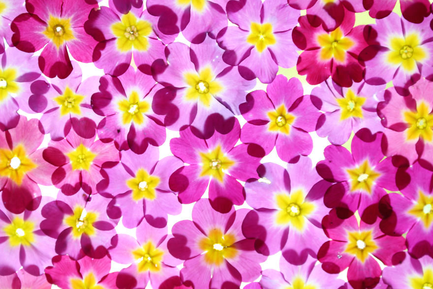 I Created Ephemeral Spring Floral Installations In A French Village I Created Ephemeral Spring Floral Installations In A French Village