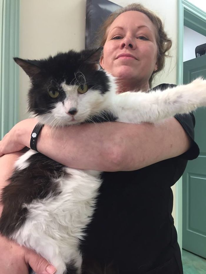 A Sick Cat Close To Death Was Given A Second Chance To Live