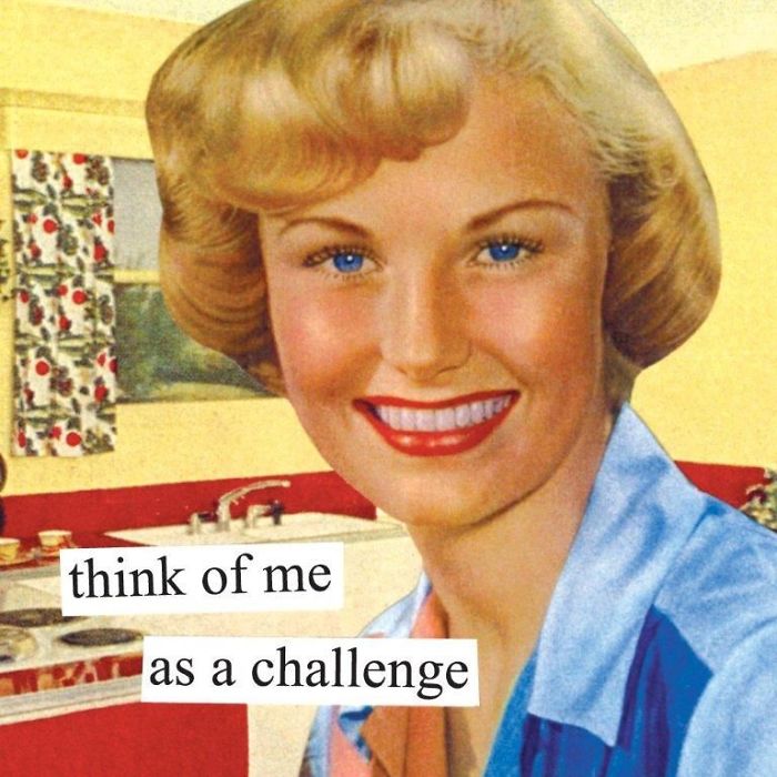 Sarcastic retro image of a smiling woman in a kitchen with a text bubble saying "think of me as a challenge."