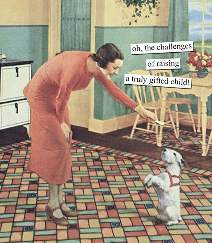 Sarcastic retro image of a woman in a vintage kitchen holding a treat for a dog standing on hind legs.