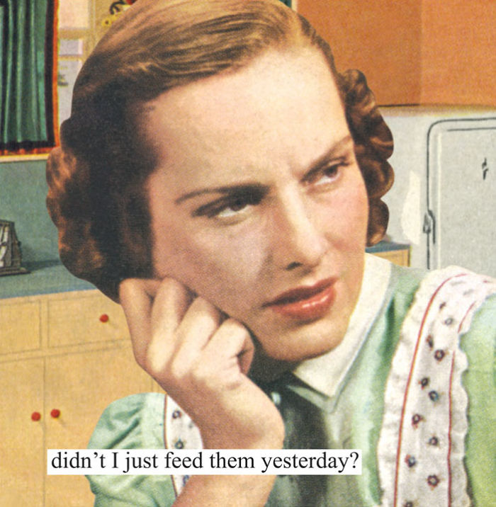 Retro woman with a sarcastic expression saying, “didn't I just feed them yesterday?”
