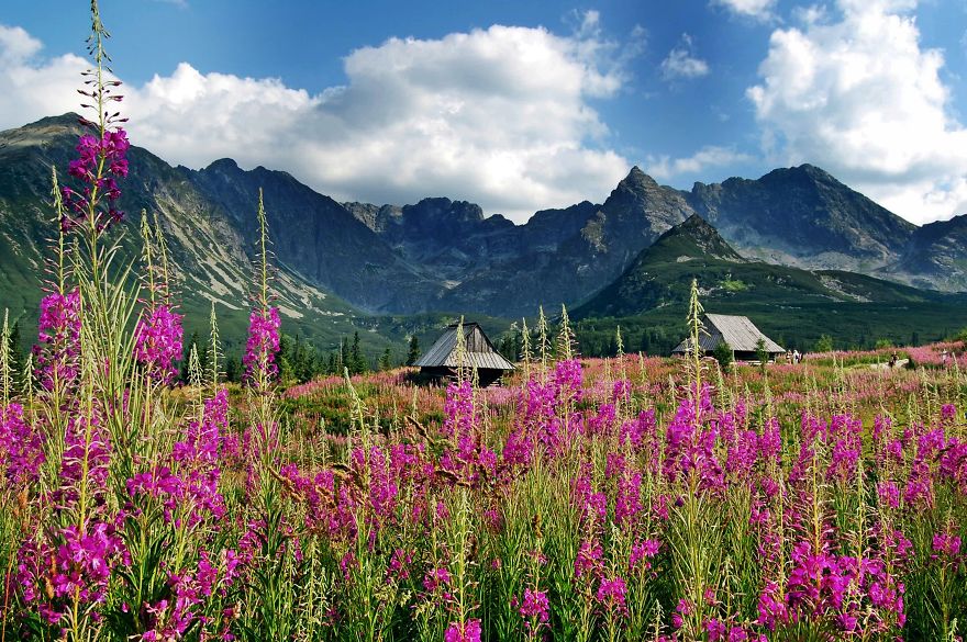 The Beauty Of Polish Mountains