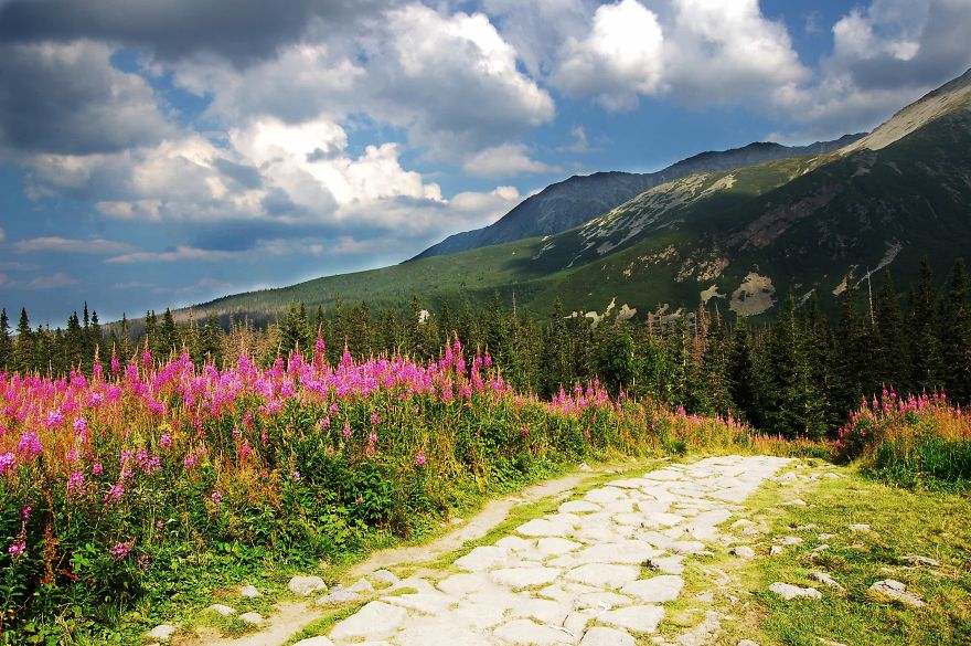 The Beauty Of Polish Mountains