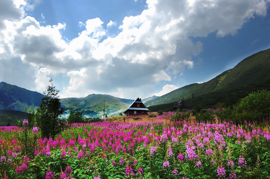 The Beauty Of Polish Mountains