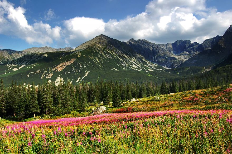 The Beauty Of Polish Mountains