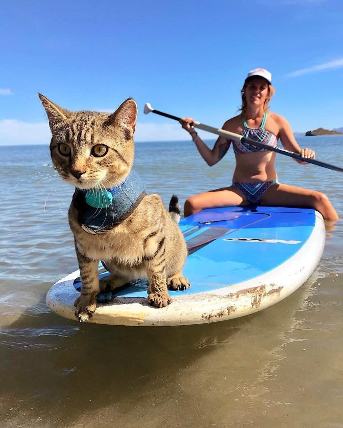 14 Inspiring Stories Of People Who Chose "The Vanlife" And Left Their Conventional Homes Behind 14 Inspiring Stories Of People Who Chose "The Vanlife" And Left Their Conventional Homes Behind