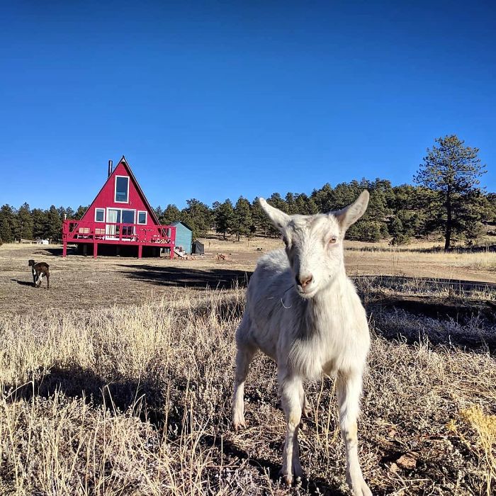 14 Inspiring Stories Of People Who Chose "The Vanlife" And Left Their Conventional Homes Behind 14 Inspiring Stories Of People Who Chose "The Vanlife" And Left Their Conventional Homes Behind